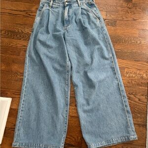 Agolde Light Blue Flare Jeans 25
